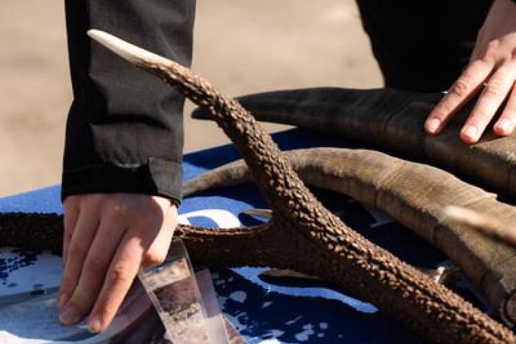 Découverte de la faune de nos montagnes avec les agents du Parc National de la Vanoise - Découverte de la faune de nos montagnes avec les agents du Parc National de la Vanoise