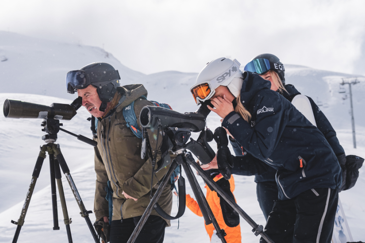 Observation de la faune hivernale &agrave; la longue-vue lors du rendez-vous avec les agents du Parc National de la Vanoise &agrave; Val d'Is&egrave;re - Observation de la faune hivernale &agrave; la longue-vue lors du rendez-vous avec les agents du Parc National de la Vanoise &agrave; Val d'Is&egrave;re