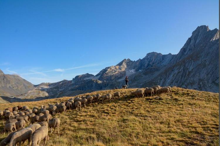 Rencontres pasto_Aussois - PNV
