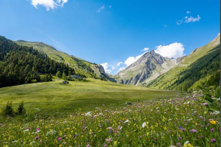 Refuge de l'Orgère - Refuge et vallon de l'Orgère