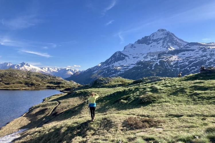 Refuge l'Auberge de Bellecombe à Val Cenis-Termignon - Un bouquetin observe un promeneur sous la Dent Parrachée