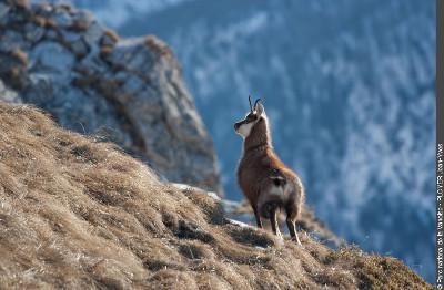 3pnv009271-pn-vanoise-ployer_jean-yves-750.jpg