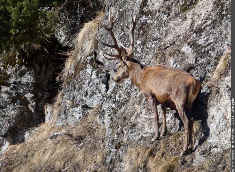 3pnv009771-pn-vanoise-gotti_christophe-750.jpg