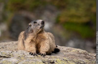 3pnv011707-pn-vanoise-herrmann_mylene-750.jpg