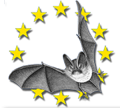 logo-nuitdelachauvesouris.png